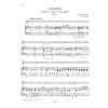 Concertino G major